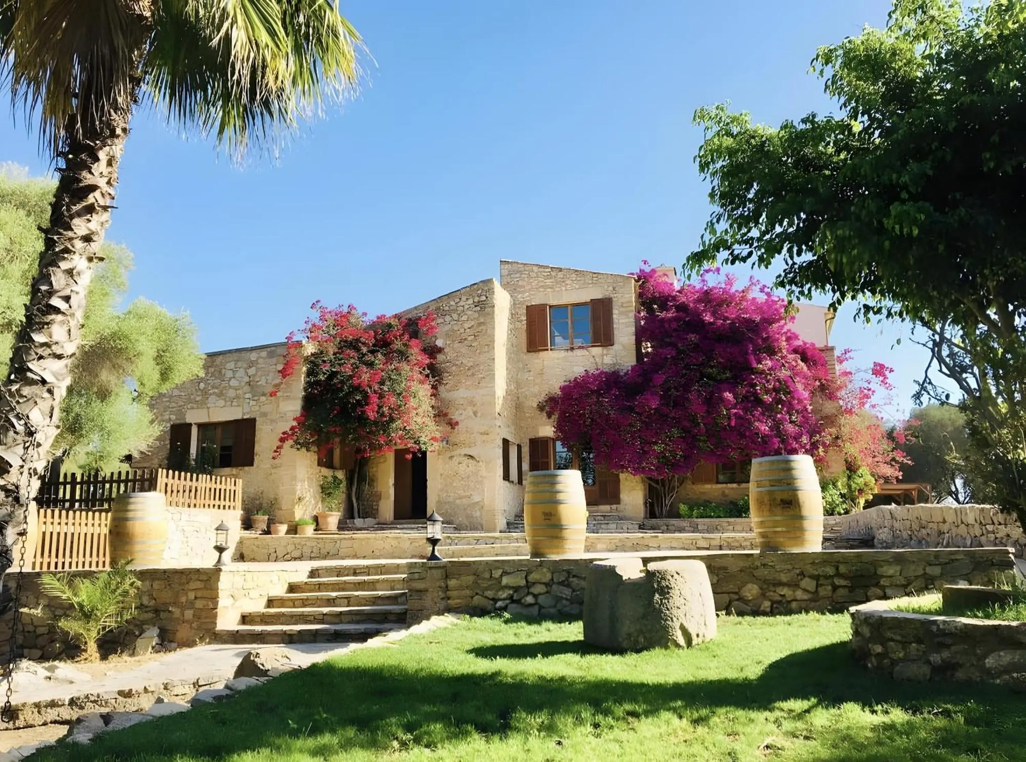 Natural stone façade in flowering bougainvillea, lawn and terrace steps in front