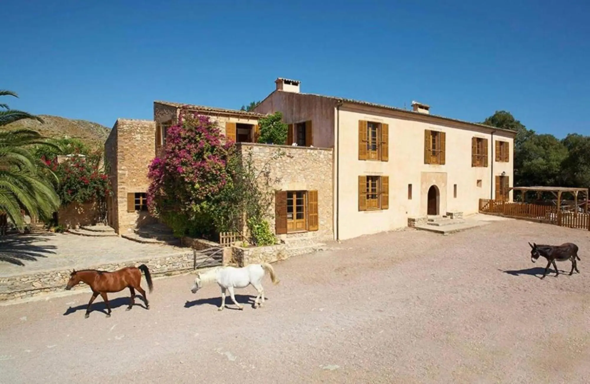 The manor house of Sa Mesquida de Dalt above the courtyard, with horses and a donkey crossing it