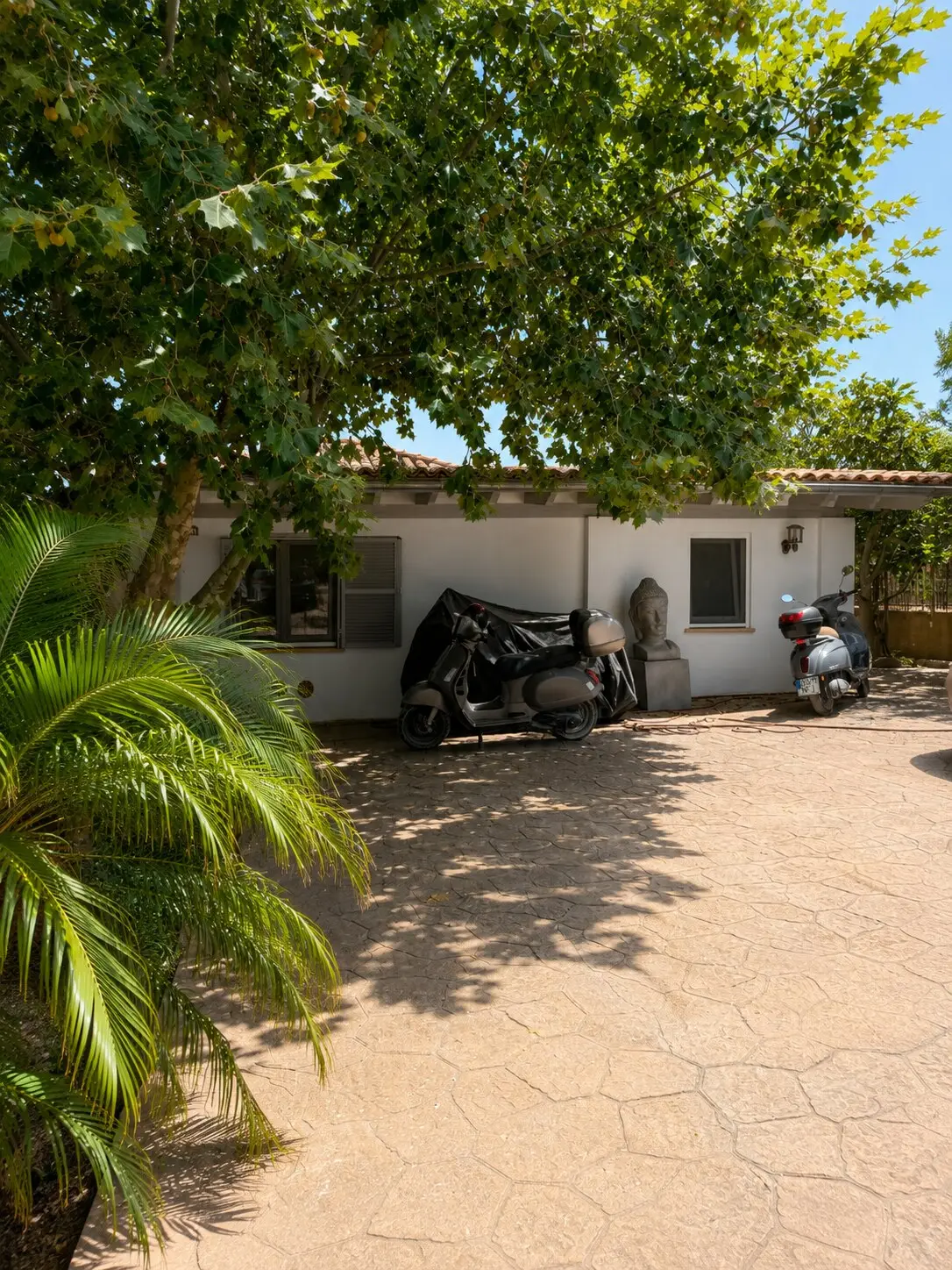 Paved courtyard with a palm and a covered parking space